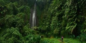 Empower - The Roth Option