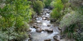 Hartford - STD and LTD Benefits