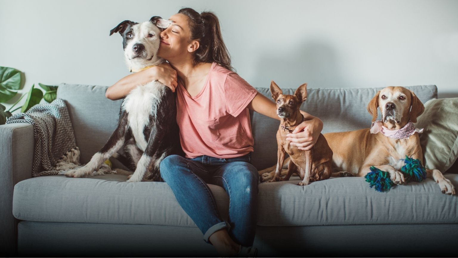 How to Budget for a Pet