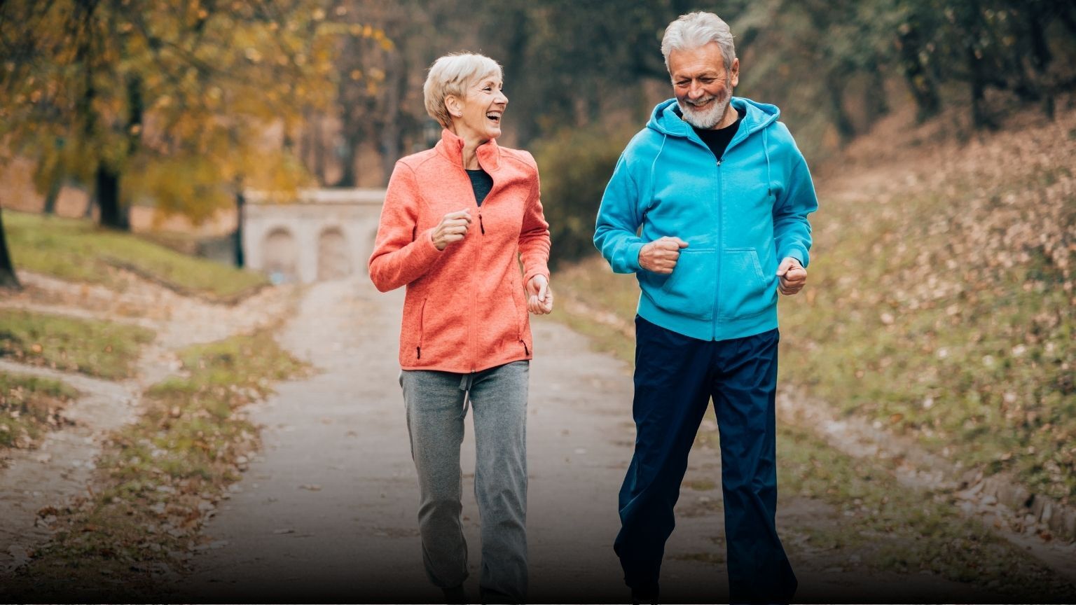 The Race to Retirement Be the Tortoise Not the Hare