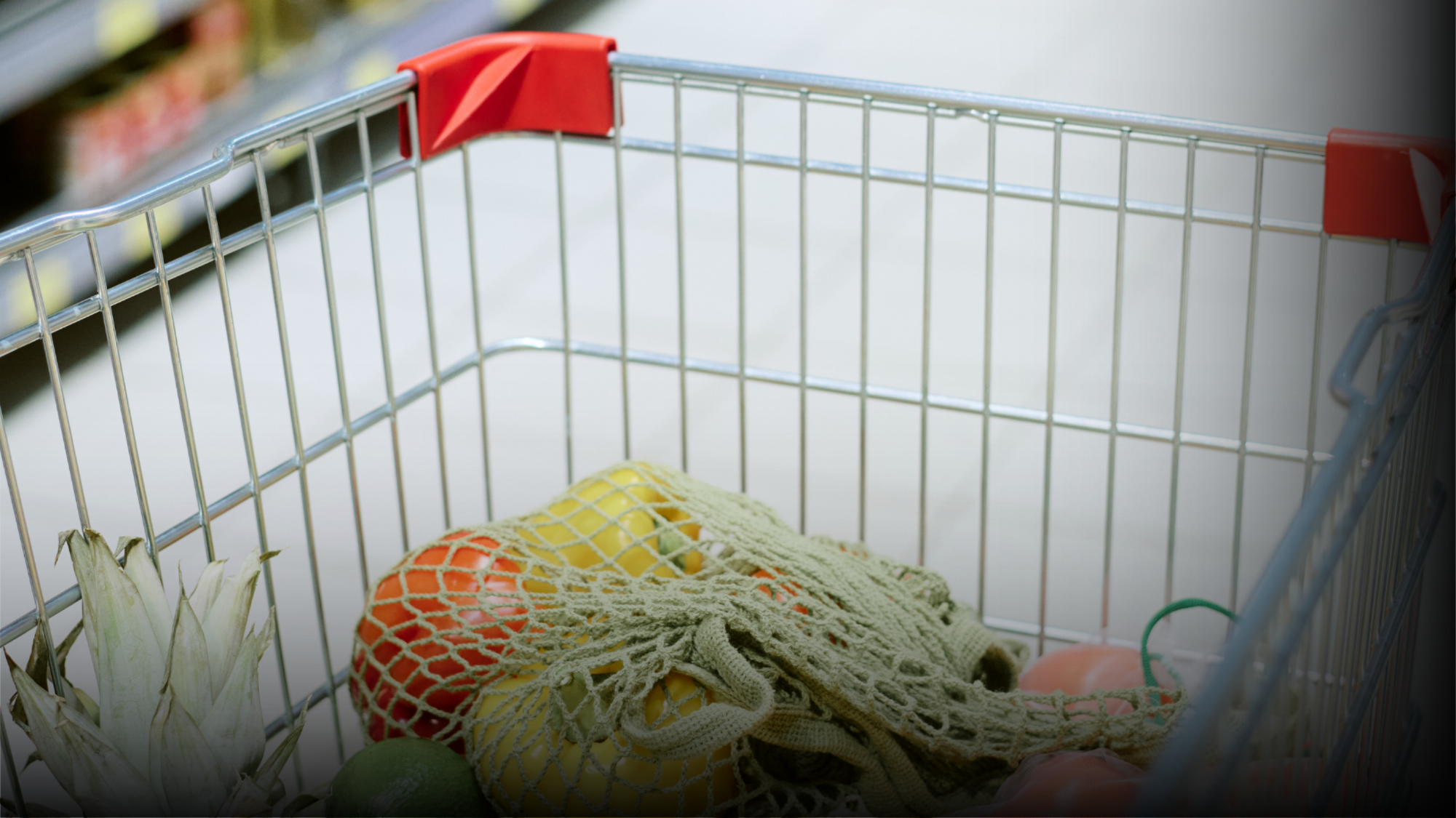 Wealthspire_Spaving-image