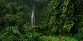 Empower - The Roth Option